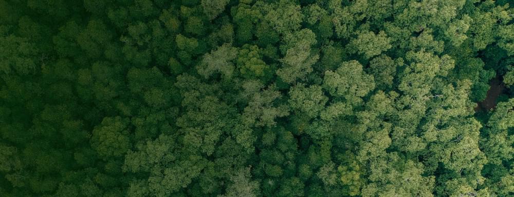 Reduction in Carbon Footprint